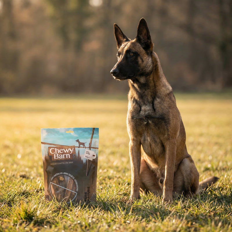 der Hund auf der Wiese mit Chewy Barn Leckerli 